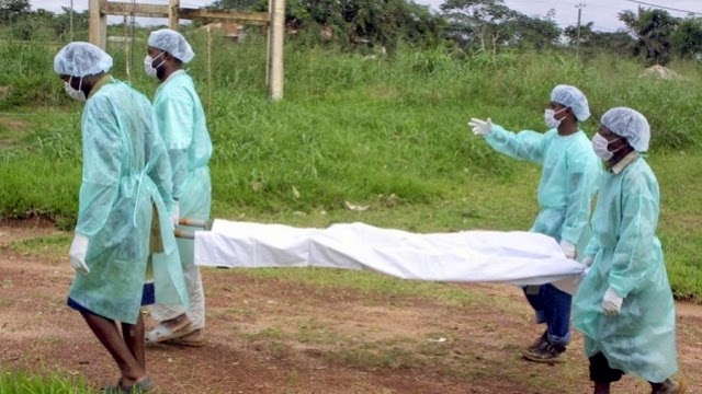 Nigéria: Une maladie «mystérieuse» liée à des herbicides fait 18 morts Herbicide_nigeria