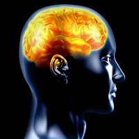Artigos Científicos Neuroteologia