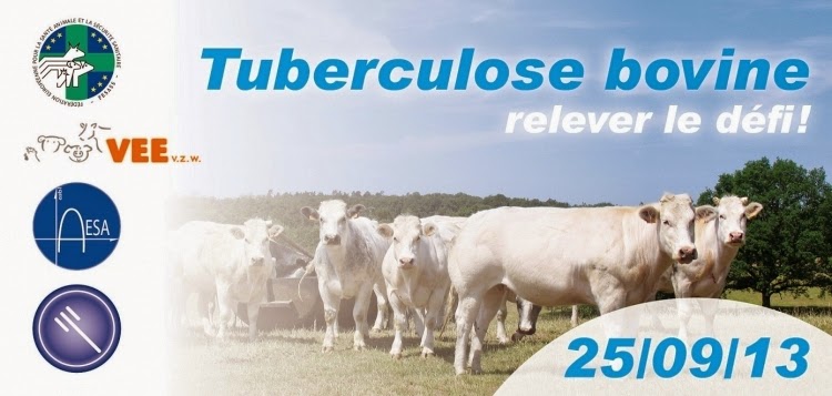 Tuberculose: 275 bovins abattus dans la Loire Tuberculose