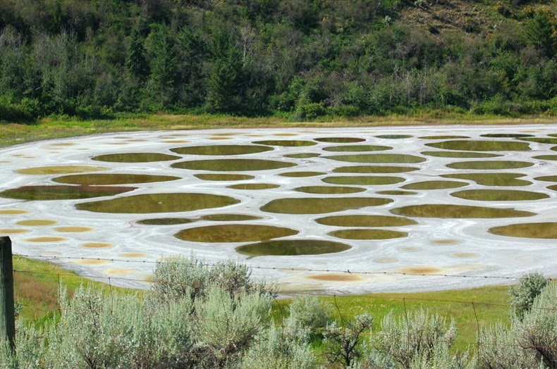 البحيرة المرقطة  Spotted-lake-2%5B6%5D