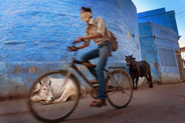 الصور الفائزة بجوائز سوني العالمية للتصوير الفوتوغرافي لعام 2013 (33 صورة) ! Sony-world-photography-awards-2013-21-635x423