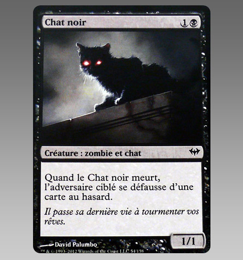 [Jeu] Et si j'était... - Page 16 Chat-noir-magic