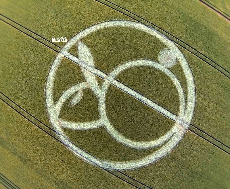  Crops circles - 2015 July%2B14%2Brabbit