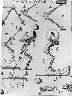 LAS SIMETRIAS OSCURAS Borelli