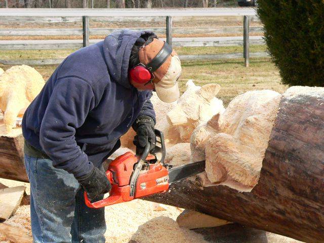 Animals Carved In Tree Trunk Image005