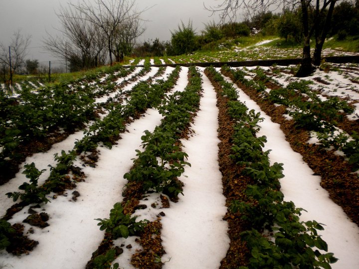 Paisajes nevados 189574_1876712807105_1519792057_32006977_3988476_n