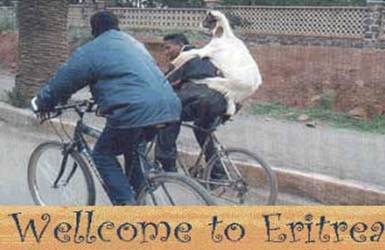 ابتكارات لن تراها إلا في أفريقيا  Inventions-from-africa-riding-goat-bicycle