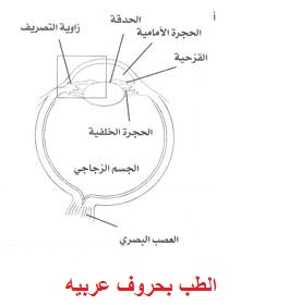 الجلوكوما Glaucoma تقنيات العلاج المختلفه Images