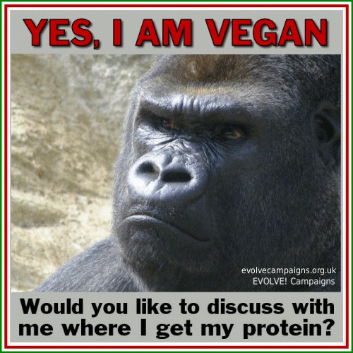 Stop Eating Your Friends! (Go Vegan)  Vegan-gorilla