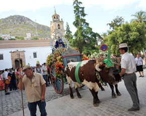 Tienda de pasos Romeria