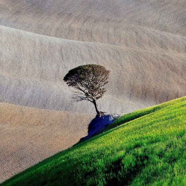 الصور الفائزة بجوائز سوني العالمية للتصوير الفوتوغرافي لعام 2013 (33 صورة) ! Sony-world-photography-awards-2013-11-635x635