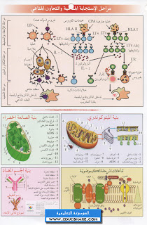 قرص علوم الطبيعة و الحياة لطلاب البكالوريا من سلسلة CD-CLIC  CD-CLIC-05-SCIENCES-3AS_01_www.educshare.com