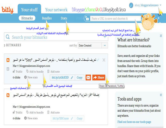 إختصار الروابط في Goo.gl و Bit.ly ..وتتبع إحصائيات المواضيع ونشرها في الفايس بوك و تويتر.. Bitly-Info
