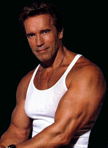 Californie - Book Around The States Arnold-schwarzenegger-20060109-99171