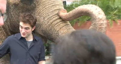 Imagenes/Videos Promocion de "Water For Elephants" - Página 3 Diapositiva4