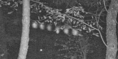 Light Anomalies Captured On Trail Cam Joshua6