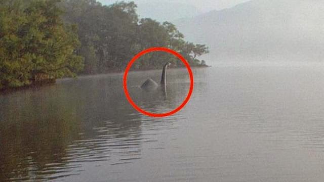Could this be an image of the Loch Ness monster? Sfmonster12e