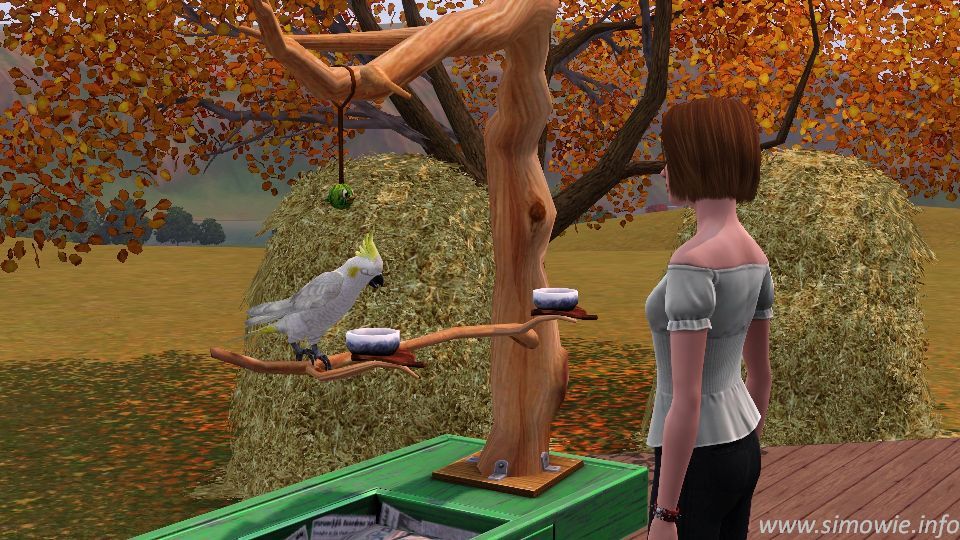 Los Sims 3: ¡Vaya fauna! - Página 2 62