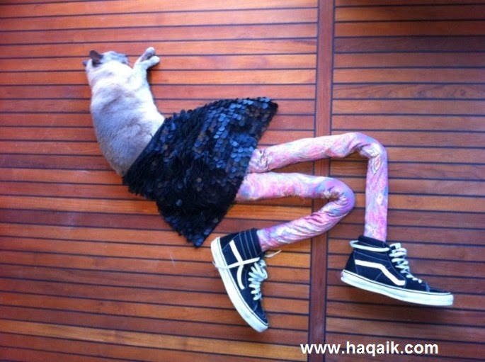 هل تصدق ؟ قطط ترتدي جوارب ضيقة .. صور هزلية مدهشة !! Cats-in-Tights-01-685x511