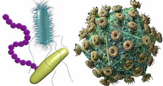  ما هو الفرق بين الفيروس والبكتيريا ؟ Virus_bacteria