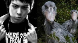 [Fun]  BIGBANG trông giống gì? 06