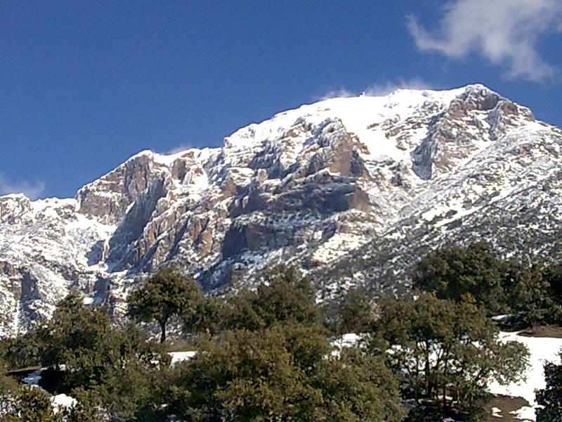  صور رائعة لجبال الونشريس لا تفوتوها  Image011