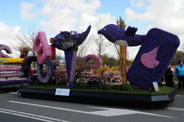 موكب براعم الزهور في هولندا من أجمل الاحتفالات في العالم... Image066-732184