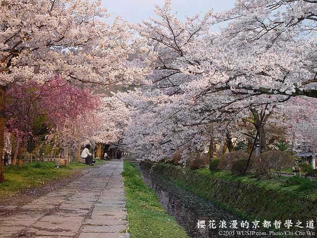 இயற்கையின் அழகுகள் Snowy-Japan%2B(5)