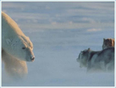 El oso y los perros. 1