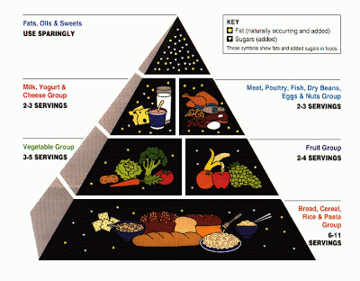 உடற் பருமன் சுட்டி (BMI) அளவுகள் Fda_food_pyramid