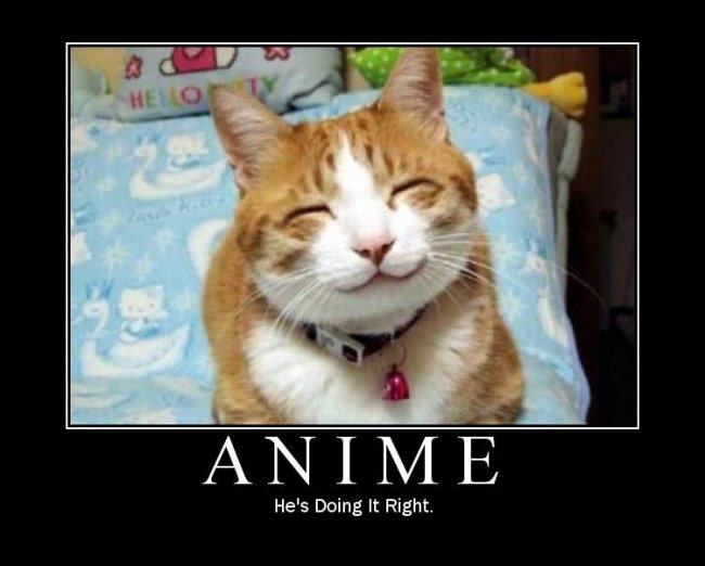 My funny pictures Anime-demotivator