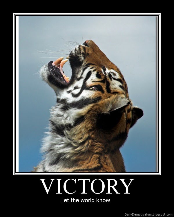 Epic Win. What have you found? - Page 16 Victory-demotivational-poster