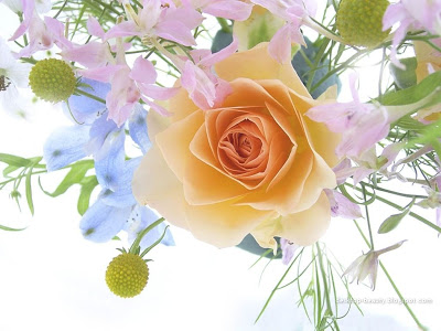 كلمات وورود  الى وردتي Flowers_a_spring_bouquet_with_a_rose