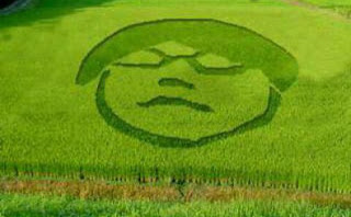 Ada Crop Circle baru bentuknya bisa agan tebak sendiri Gayus_corp