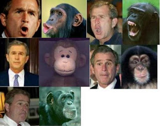 நையாண்டி படங்கள் - ஜார்ஜ் புஷ் Bush_chimp