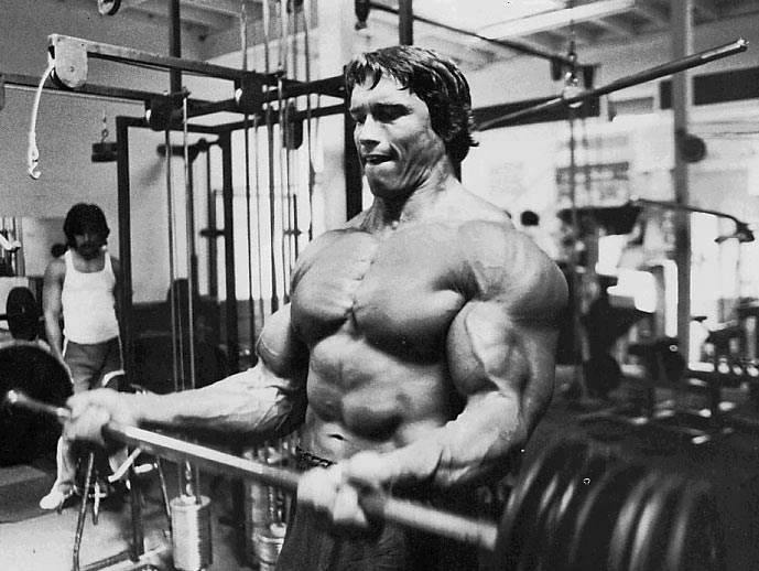 5 Dicas Simples Para Maximizar a Rosca-Direta Arnoldschwarzenegger227