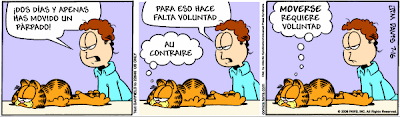 garfield - Garfield - Tiras Cómicas 17 Ga080716