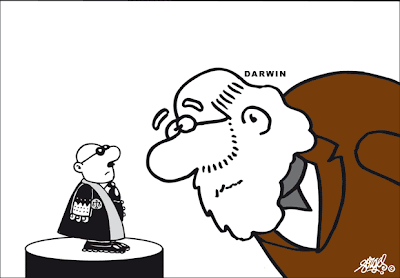 Hilo de las viñetas Forges_darwin_juez