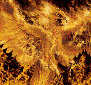 .: Under The Feathers Of Flame :. Phoenix