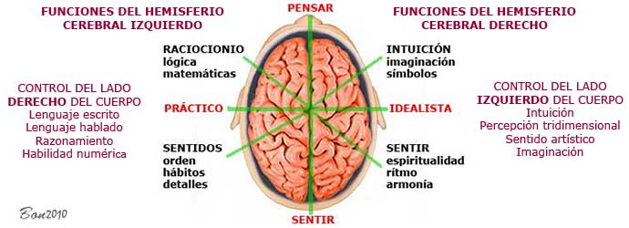 ¿Profecías? ¿Mensajes? ¿Visiones? Manipulación o Misticismo - Página 7 1braincategories2