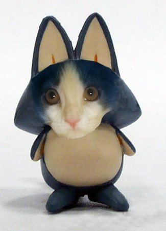 película Buddy_puar