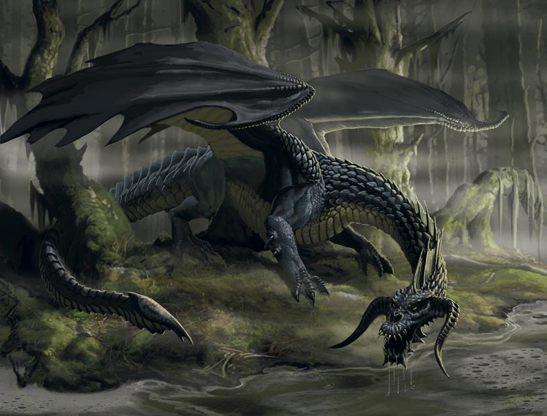 La biblioteca del Gusano del Conocimiento Black_Dragon