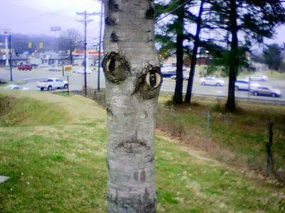 El pez con rostro humano CreepyTree