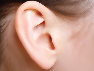 جولة في الفراسة.. اعرف شخصيتك من وجهك , انفك او اذنك او او او !!!  Ear-copy