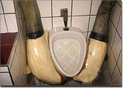 The Strangest Urinals! 6