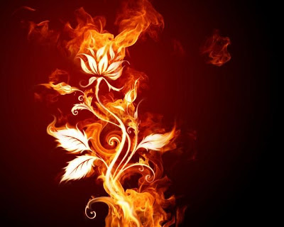 Arte con fuego. Fire_art_13