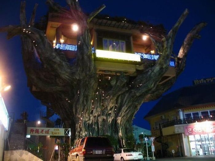   بانيان تري بناء غريب لمقهى في اليابان أقيم فوق شجرة - Strange Banyan Tree House Café in Japan Unusual_restaurants_04