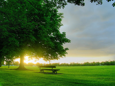 سجل حظووورك هنا .. - صفحة 2 Nature_Other_Morning_in_park_005301_