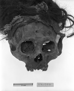 Nazca: nouvelle hypothèse sur les têtes-trophées A113639_1