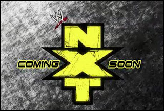 NXT que les parecio? NXT